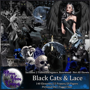 Black Cats and Lace