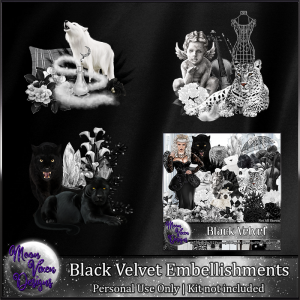 Black Velvet Embellishments